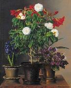 Johan Laurentz Jensen Camelias, amaryllis, hyacinth and violets in ornamental pots on a marble ledge oil painting